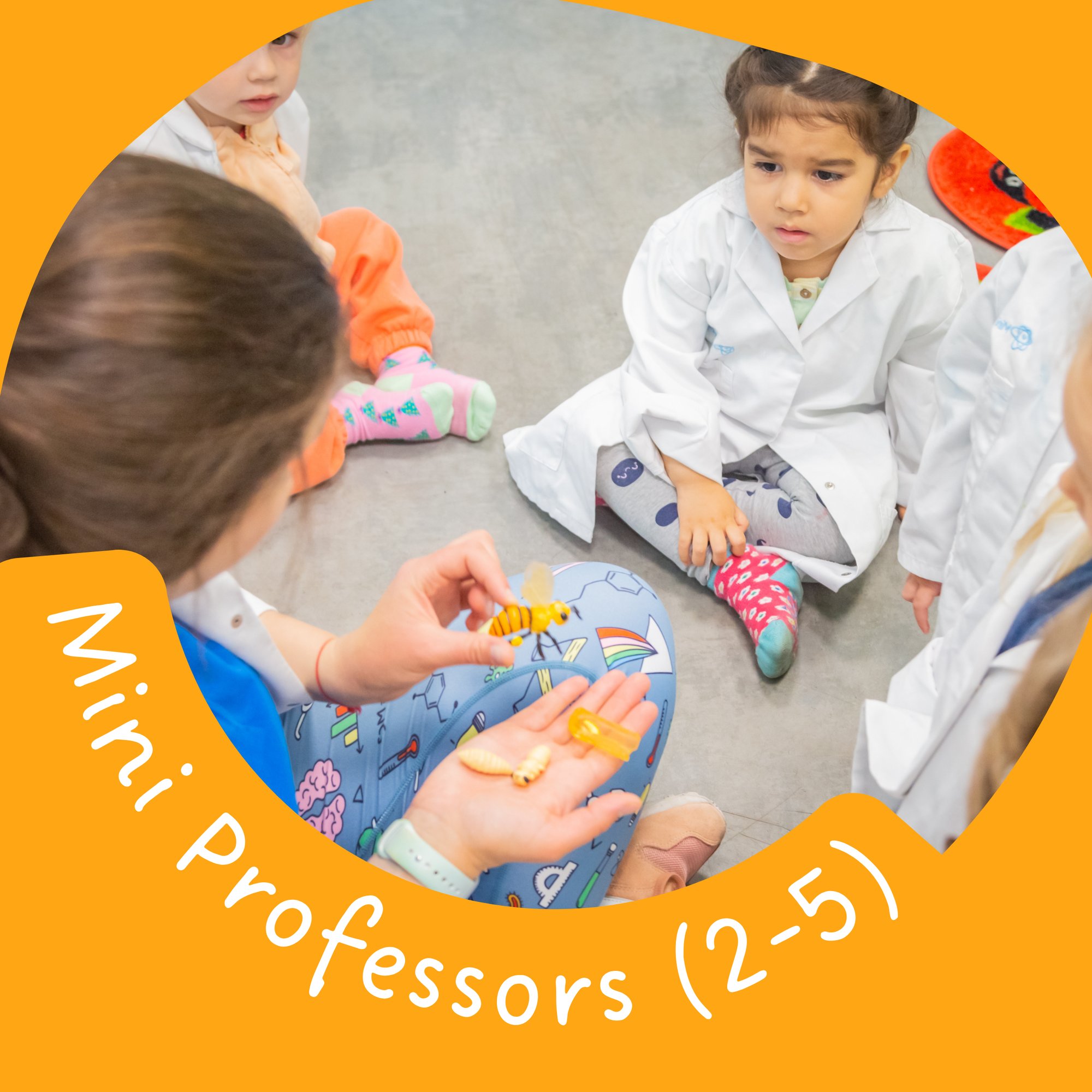 Mini Professors